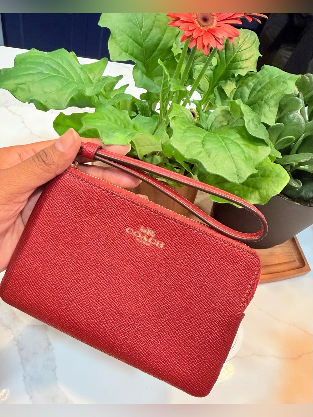 Coach Corner Zip Wristlet